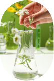 Targeted Formulas